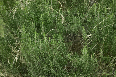 Similar image 22750556