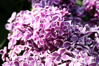 Similar image 22713688