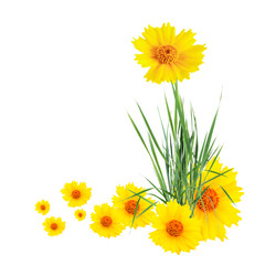Similar image 22713732