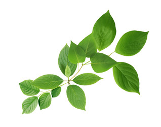 Similar image 22713749