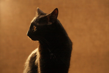 Similar image 22713927