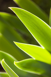 Similar image 22766865