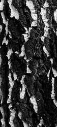 Similar image 22650771