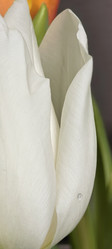 Similar image 22650772