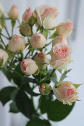 Similar image 22650778