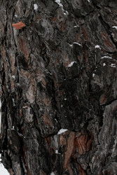 Similar image 22650788