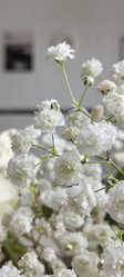 Similar image 22650806