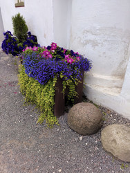 Similar image 22650808