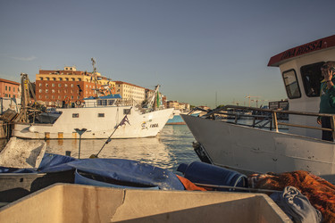 Similar image 22748682