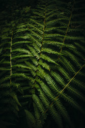 Similar image 22712552