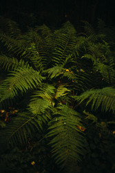 Similar image 22712593
