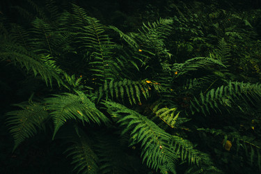 Similar image 22712608