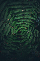 Similar image 22712619