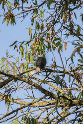 Similar image 22748338