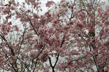 Similar image 22646042