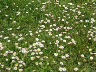 Similar image 22646044