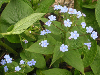 Similar image 22646045