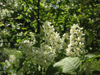 Similar image 22646046