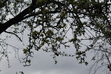 Similar image 22646047
