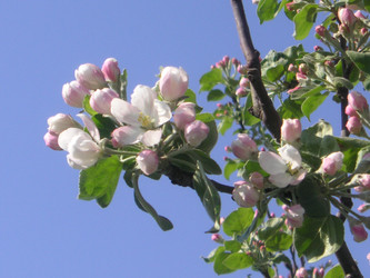 Similar image 22646059