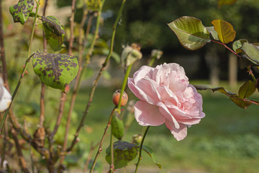 Similar image 22756095
