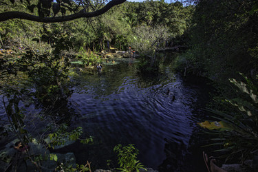 Similar image 22767458
