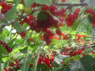 Similar image 22646060