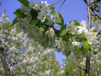 Similar image 22646061