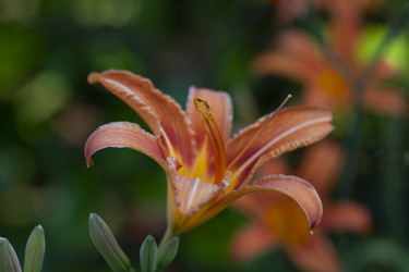 Similar image 22746622