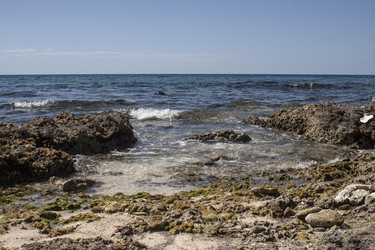 Similar image 22748260