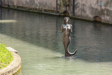 Similar image 22748429