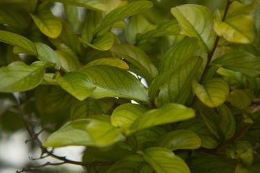 Similar image 22748933