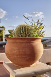 Similar image 22750473