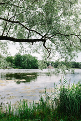 Similar image 22645998
