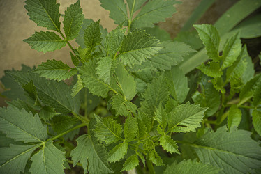Similar image 22756207