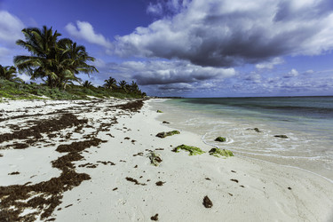 Similar image 22756282