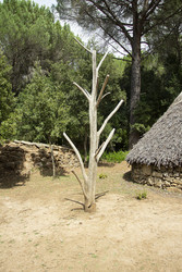 Similar image 22764085