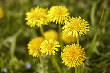 Similar image 22767222