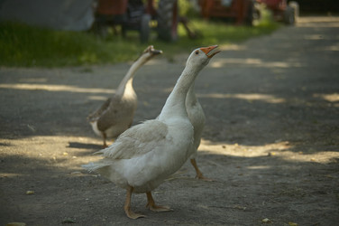 Similar image 22748261