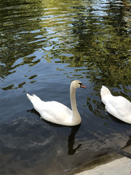 Similar image 22668302