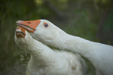Similar image 22748384