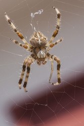 Similar image 22749555
