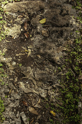 Similar image 22749595