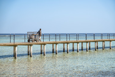 Similar image 22750560