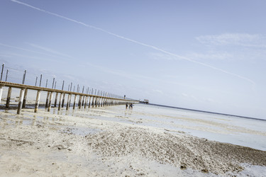 Similar image 22766893