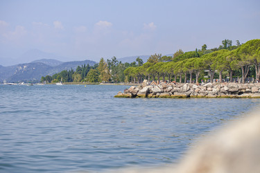 Similar image 22756246