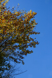 Similar image 22756171