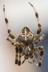Similar image 22749716