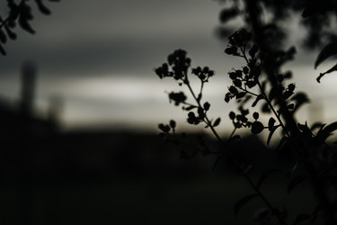 Similar image 22756368