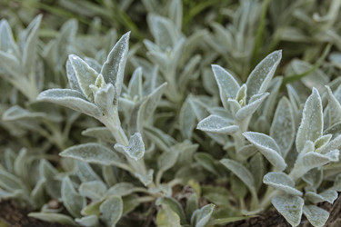 Similar image 22748802